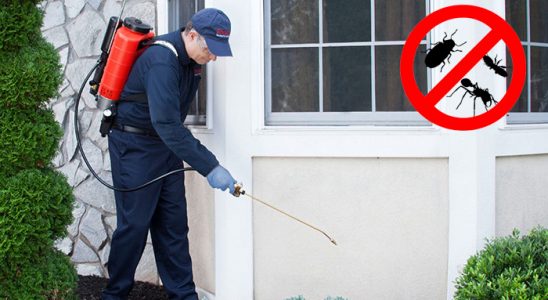 Helvacı Karınca İlaçlama böcek ilaçlama ve haşere kontrolü — ilaclama-tr.com